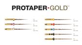 Protaper Gold 25mm Starter Kit